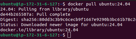 Docker_pull